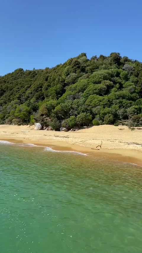 Paradise beach in Abel Tasman Vídeos de archivo 343952291