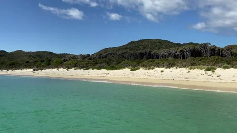 Paradise beach in Abel Tasman Stockbeeldmateriaal 343952315