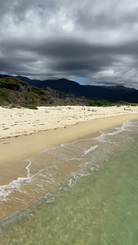 Paradise beach in Abel Tasman Vidéo 343952328