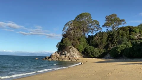 Paradise beach in Abel Tasman Видео 343952373