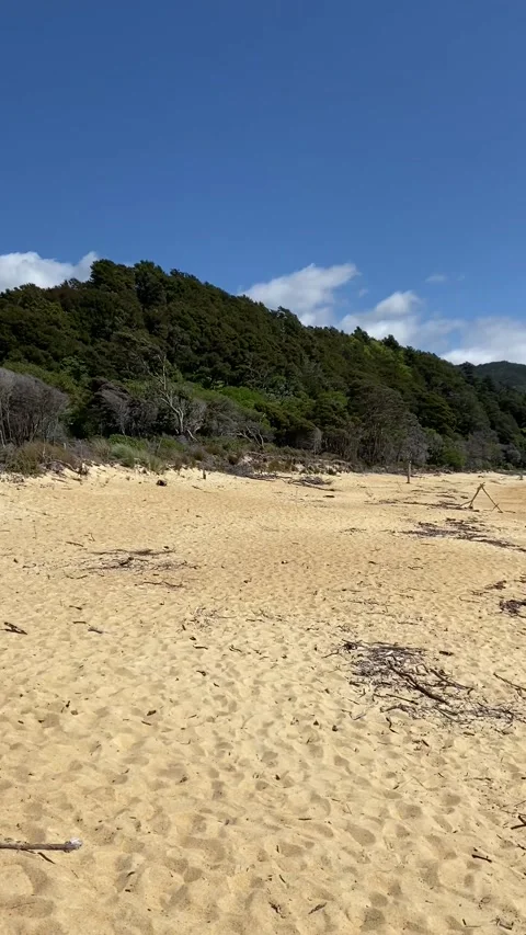 Paradise beach in Abel Tasman Vídeo Stock 343952442