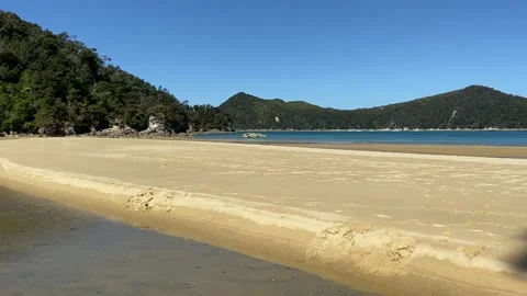 Paradise beach in Abel Tasman Vídeos de archivo 343952777