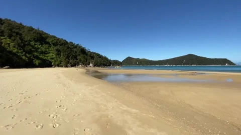 Paradise beach in Abel Tasman Stock Footage 343952783