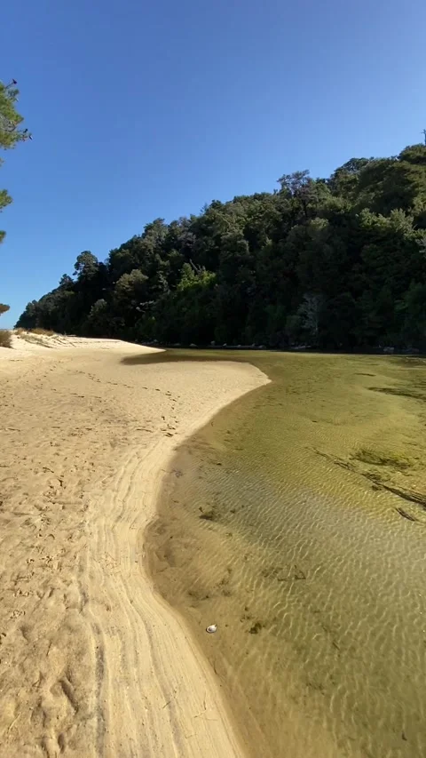 Paradise beach in Abel Tasman Stock Footage 343952792