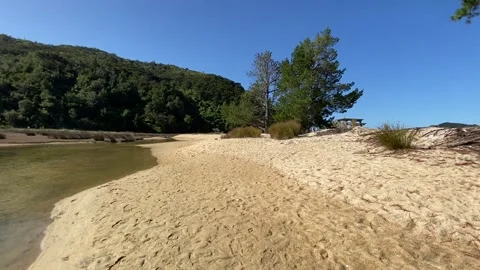 Paradise beach in Abel Tasman Vidéo 343952795