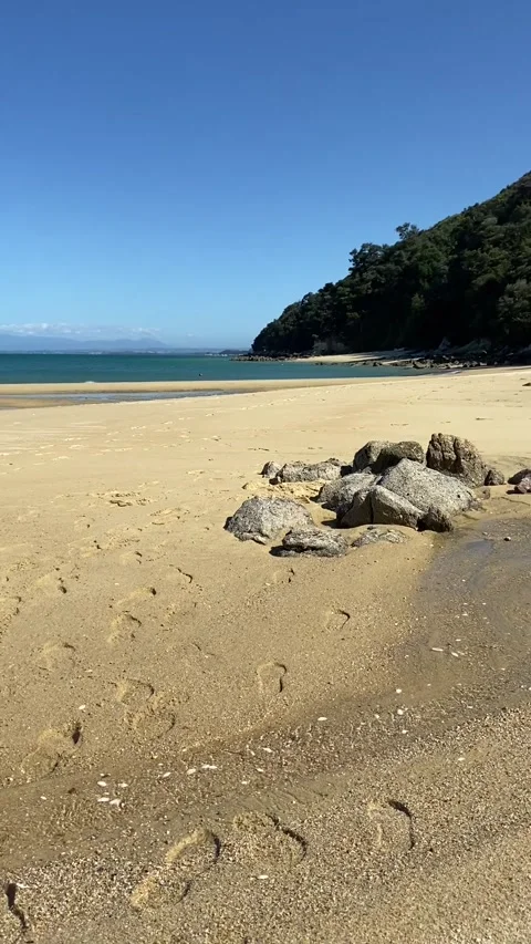Paradise beach in Abel Tasman Stockbeeldmateriaal 343952811