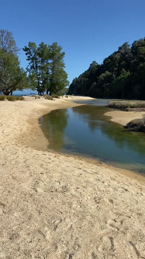 Paradise beach in Abel Tasman Stockbeeldmateriaal 343952813
