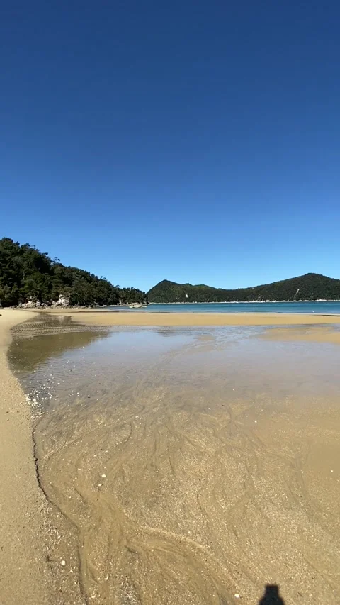 Paradise beach in Abel Tasman Stock Footage 343952818