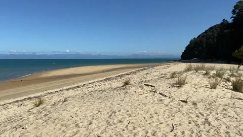 Paradise beach in Abel Tasman Видео 343952820