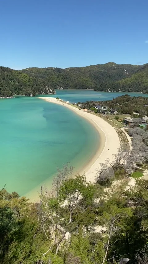 Paradise beach in Abel Tasman Stock Footage 343952933