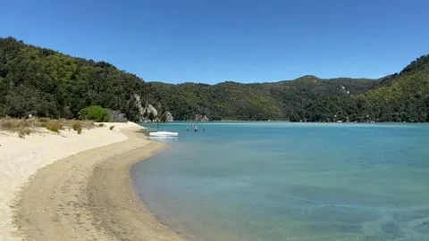 Paradise beach in Abel Tasman Vídeo Stock 343952969