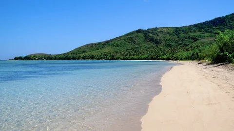 Paradise beach bacground palm trees Stock Footage 101777323