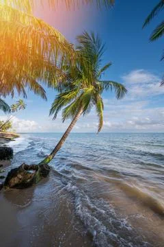 Paradise beach background Foto stock