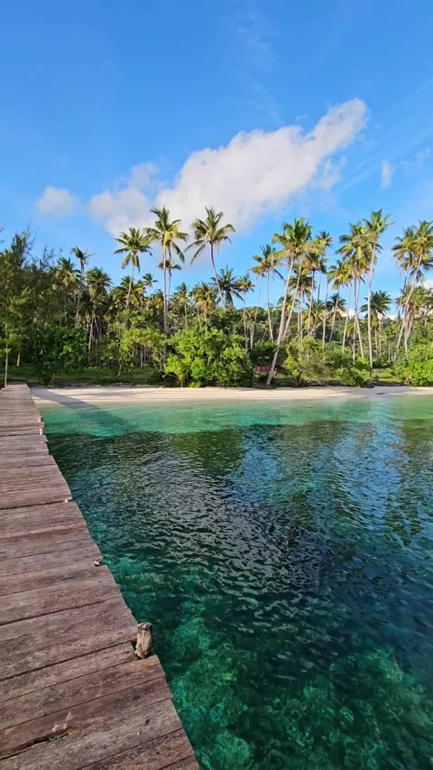 Paradise beach with coconut palm trees, quiet ocean and wooden pier on island  Видео 332073031