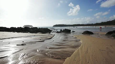 Paradise beach Video stock 12210528