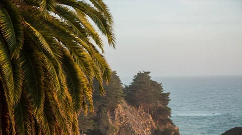 Paradise Beach Stock Footage 35285584