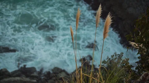 Paradise Beach Stock Footage 35301950