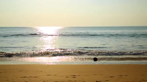 Paradise Beach Stock Footage 45595726