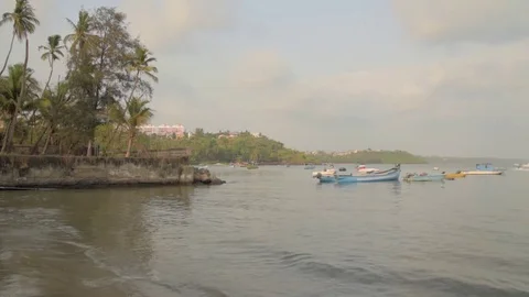 Paradise beach Video stock 76010207