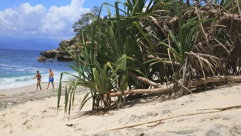Paradise Beach Видео 126927683