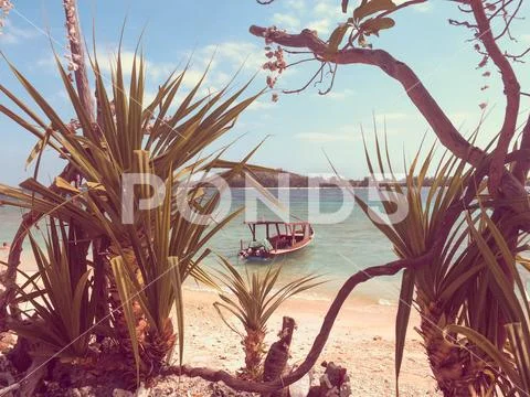 Paradise beach Gili Stock Photos