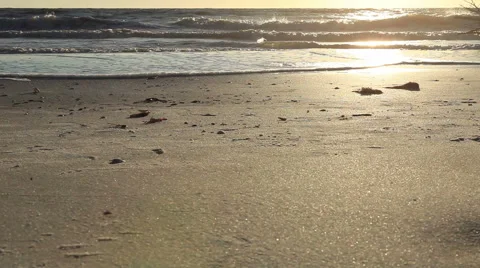 Paradise beach,at magic hour Stock-Footage 48513510