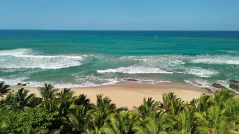 Paradise beach with palm trees and waves for sunny travel and tropical leisure 库存影片 341375448
