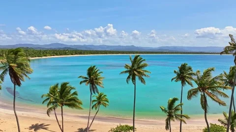 A paradise beach with palm trees, clear blue sea, and deserted yellow sand. Vídeo Stock 327631908