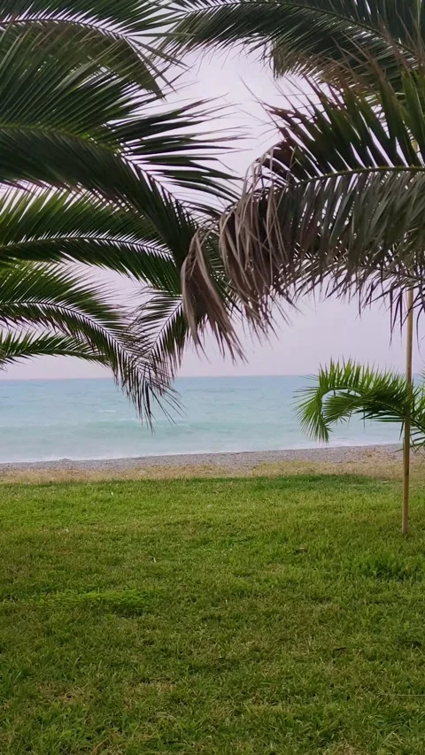 Paradise Beach With Palm Trees in the Tropical Sea. Panorama of Tropical Beach. Stock Footage 221644947