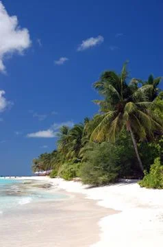 Paradise beach Stock Photos