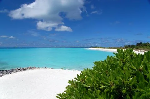Paradise beach Stock Photos