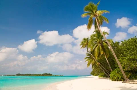 Paradise beach Stock Photos