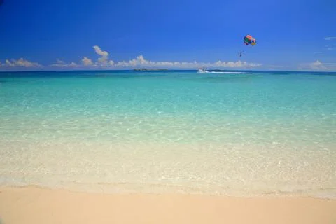 Paradise beach Stock Photos