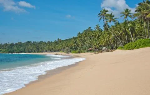 Paradise beach Stock Photos