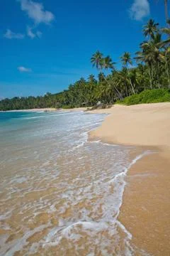 Paradise beach Stock Photos
