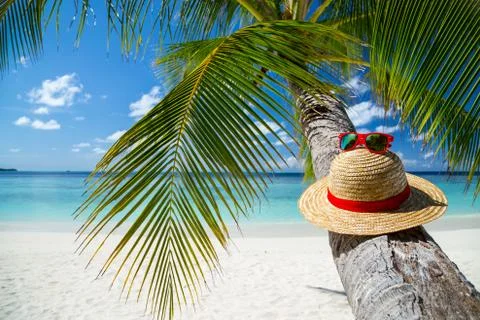 Paradise beach Stock Photos