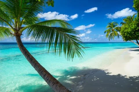 Paradise beach Stock Photos