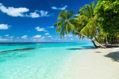 Paradise beach Stock Photos