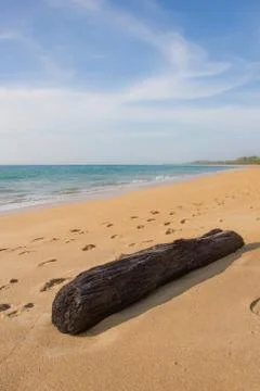Paradise beach Stock Photos