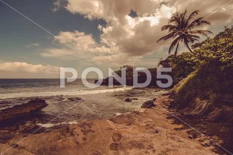 Paradise beach Stock Photos