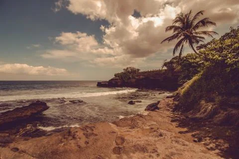 Paradise beach 写真素材