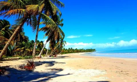 Paradise beach Stock Photos