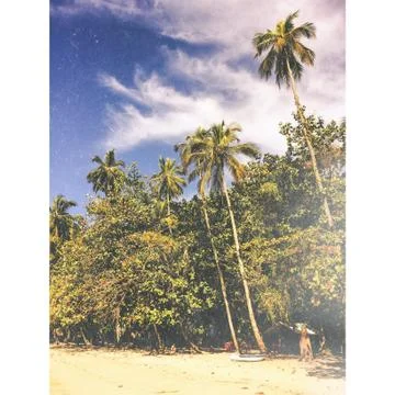 Paradise beach Stock Photos