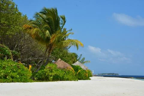 Paradise beach 写真素材