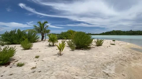 Paradise beach with pink sand in Rangiroa Vídeo Stock 344427092