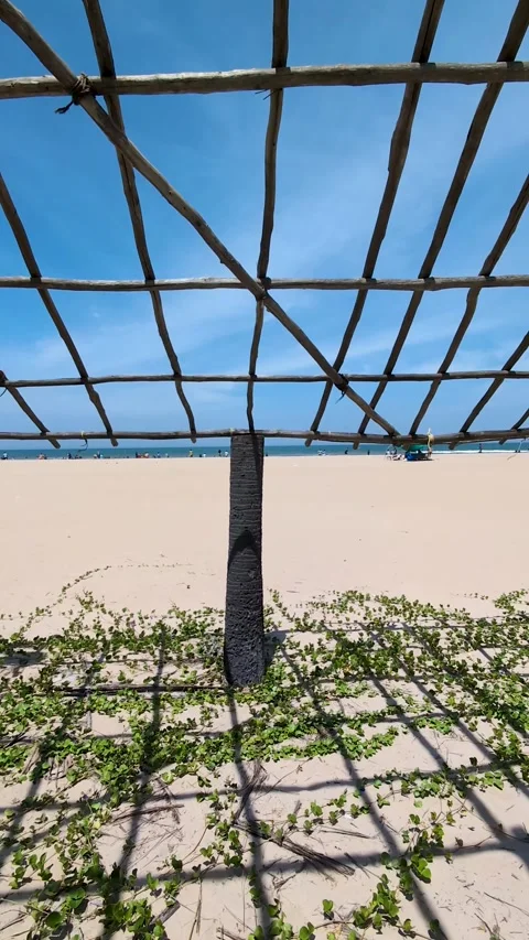 Paradise beach sand 1 Stock Footage 296571343