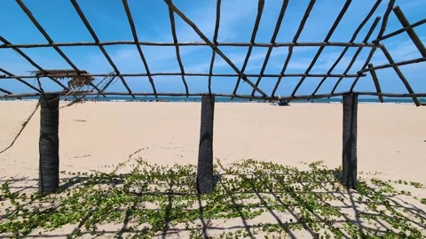 Paradise beach sand 2 Stock Footage 296571344