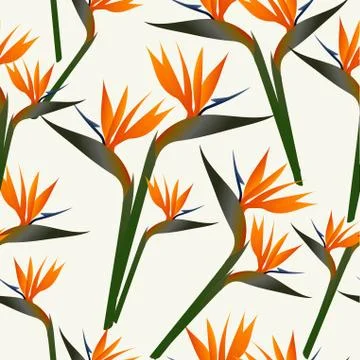 Paradise bird flower pattern Stock-Illustration