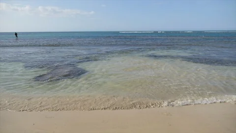 Paradise Clean Ocean Waters Stock Footage 110743541