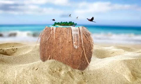 Paradise in a coconut Stock Photos